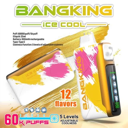 【果味棒】Bang King 60000口一次性電子煙 5檔冰感調節 LED顯示功能